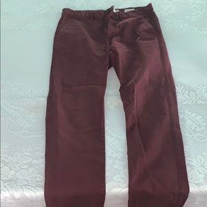 Maroon pants